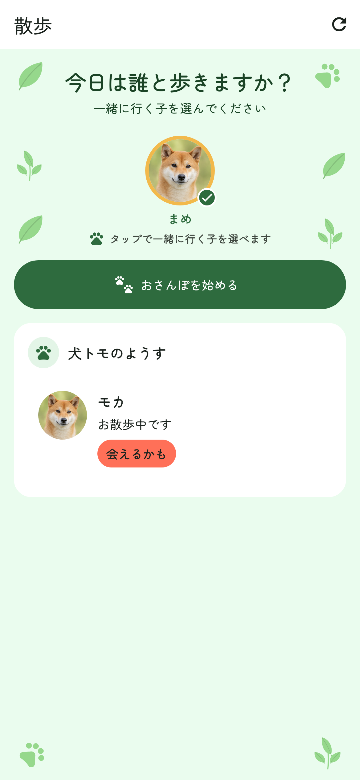 今日は誰と歩きますかと表示し、犬まめを選べる、あうワンの散歩開始前画面